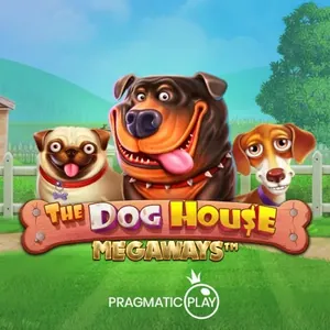 Rottweiler et carlin devant leur niche